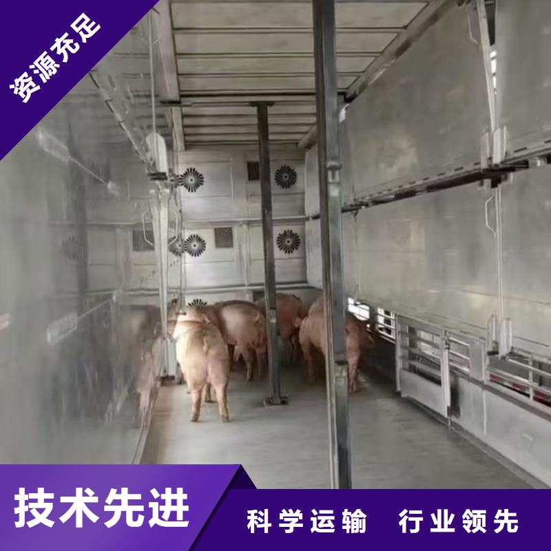 宿迁市泗洪到生猪物流及时送达