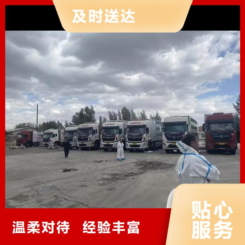 宿迁市泗阳到活禽运输天天发车