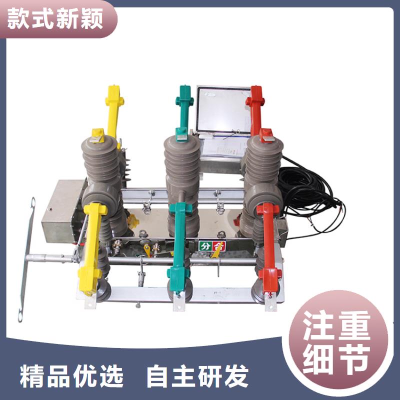 新余ZW8M-12/T630-12.5真空断路器售后无忧