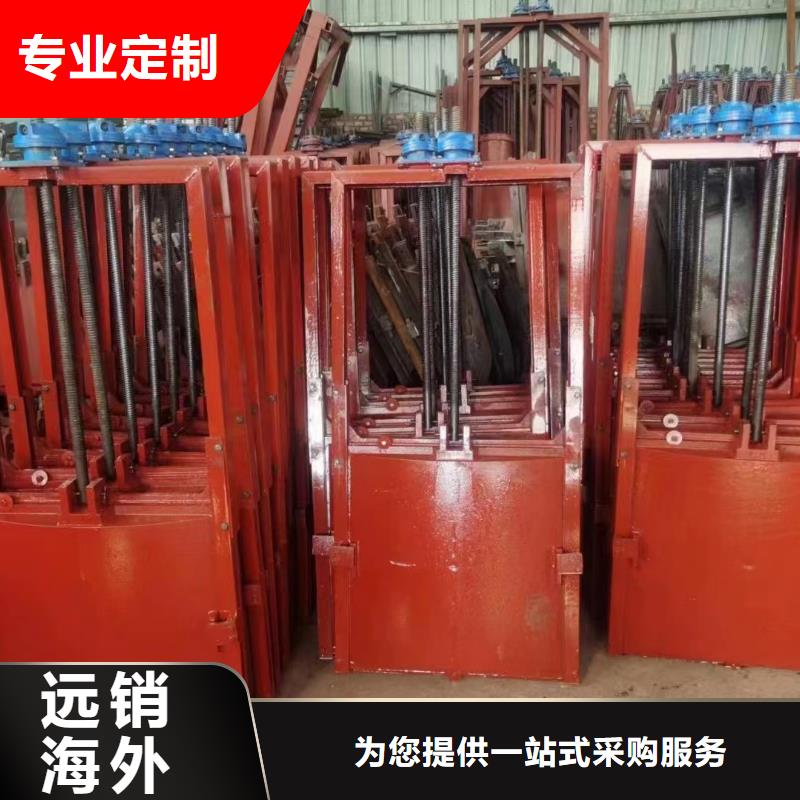 西藏污水处理机闸一体闸门上门安装