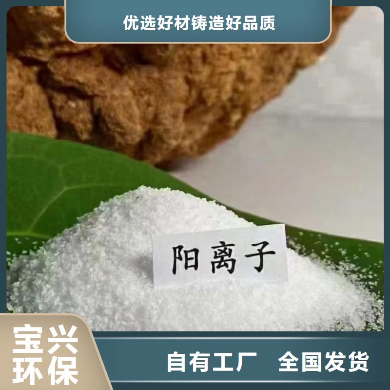阳离子聚丙烯酰胺精准加工优质货源
