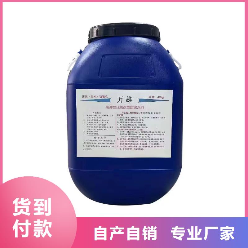EMA弹性环氧改性防腐涂料质量看得见免费询价丙烯酸共聚物基混凝土保护剂