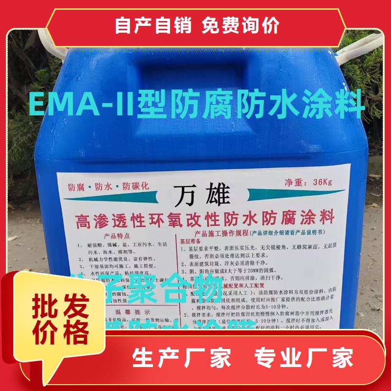 EMA弹性环氧改性防腐涂料质量看得见免费询价丙烯酸共聚物基混凝土保护剂