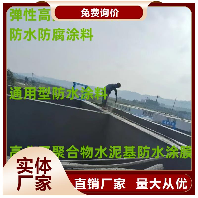 BMP-3路桥防水涂料多家仓库免费询价弹性重防腐特种涂料
