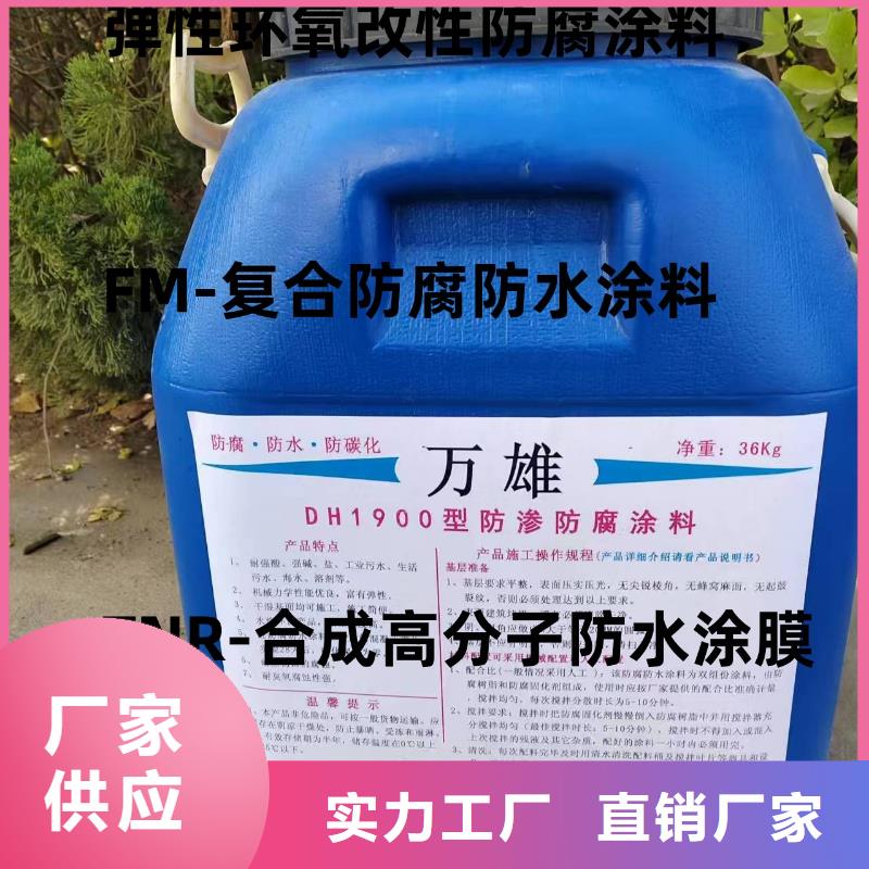 EMA弹性环氧改性防腐涂料质量看得见免费询价丙烯酸共聚物基混凝土保护剂