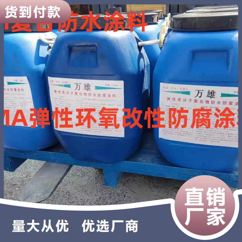 EMA弹性环氧改性防腐涂料质量看得见免费询价丙烯酸共聚物基混凝土保护剂