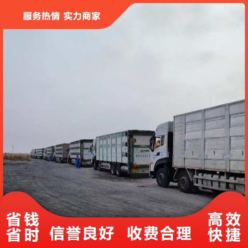 南通到仔猪运输-专用车好评度高