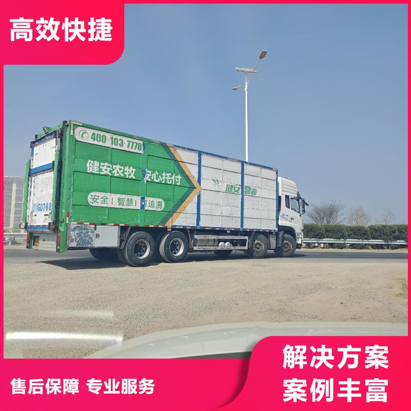 连云港到猪笼车运输-恒温车案例丰富
