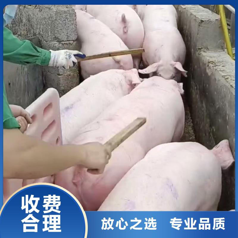 宿迁沭阳到农牧运输-空调车案例丰富