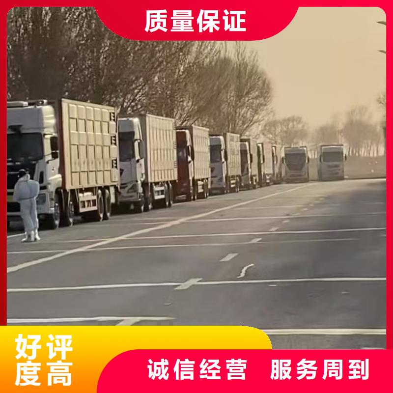 港闸到肥猪运输空调车正规团队
