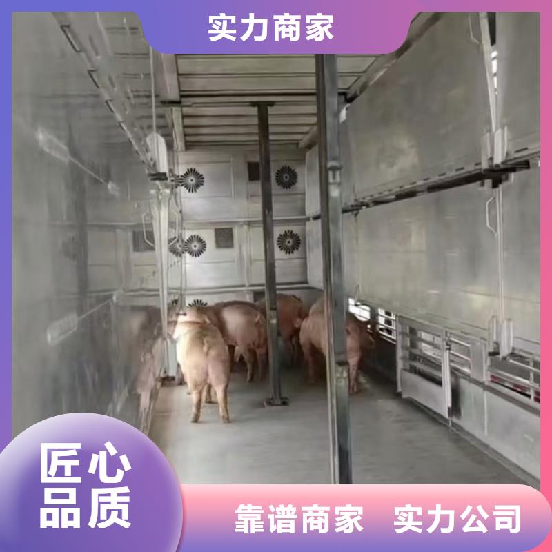 南京到猪运输-恒温车检疫合格