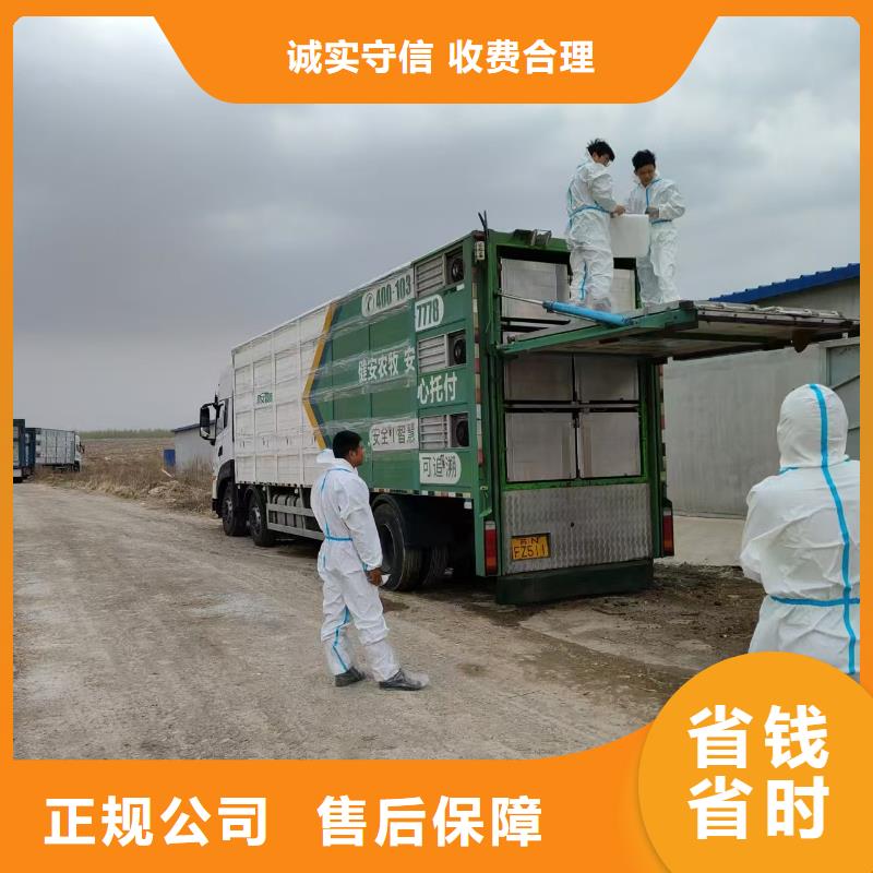 阜宁到农牧运输空调车值得信赖