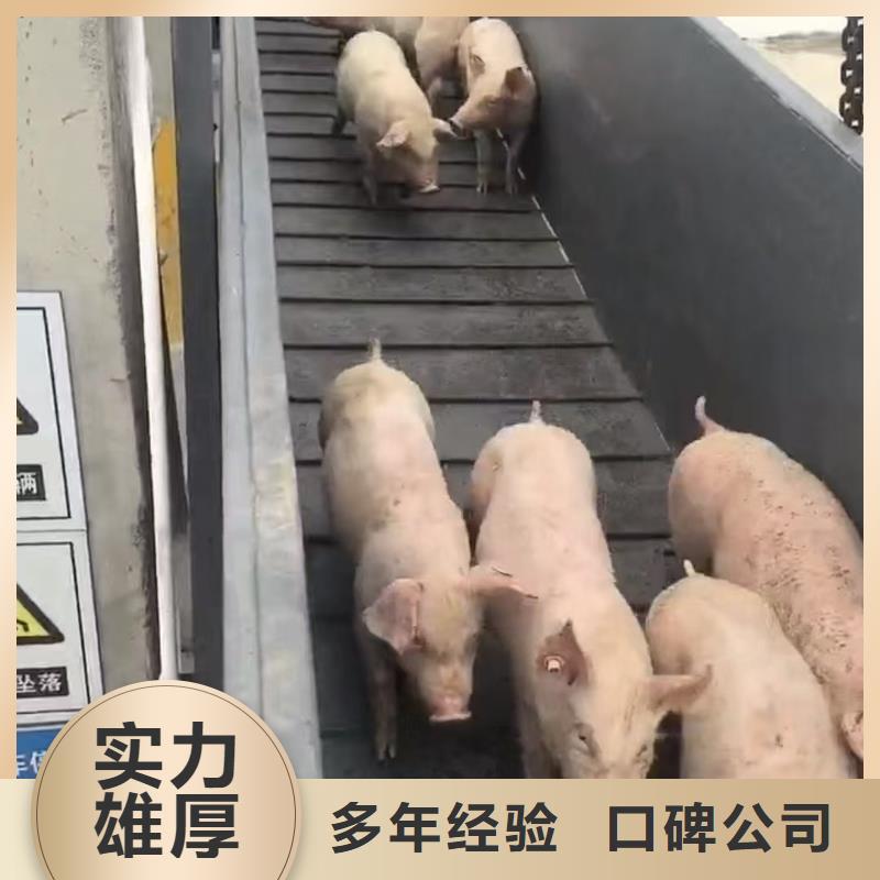 高港到二育运输空调车快捷