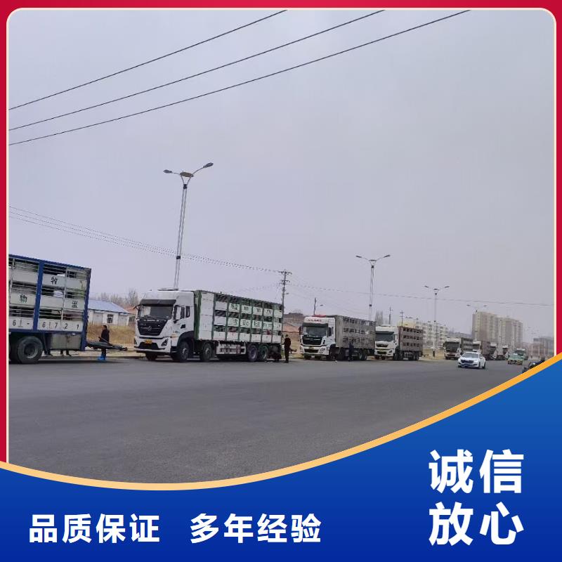 宿迁泗阳到羊运输-恒温车解决方案