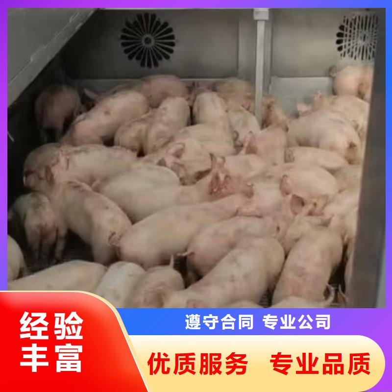 徐州到农牧运输-空调车案例丰富