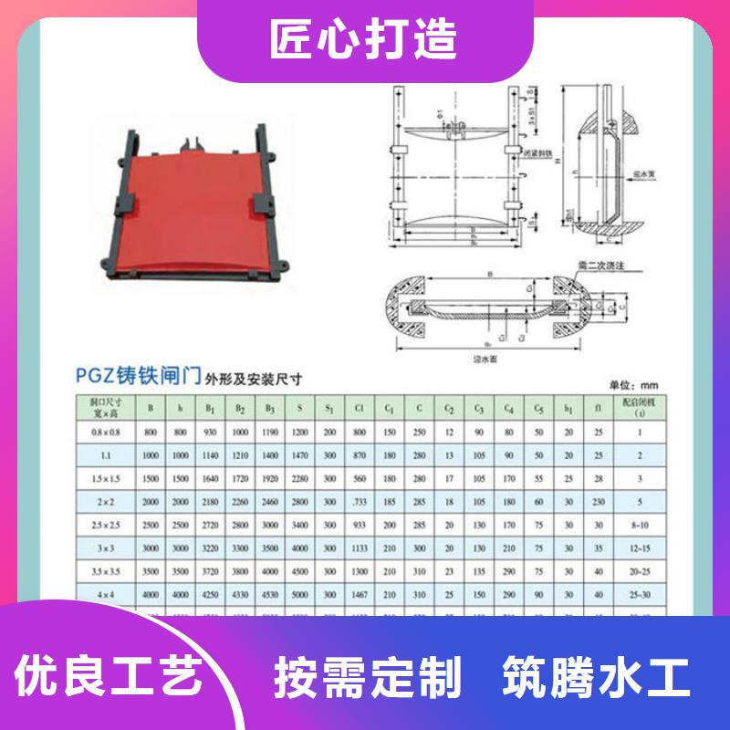 泵站铸铁闸门真诚合作