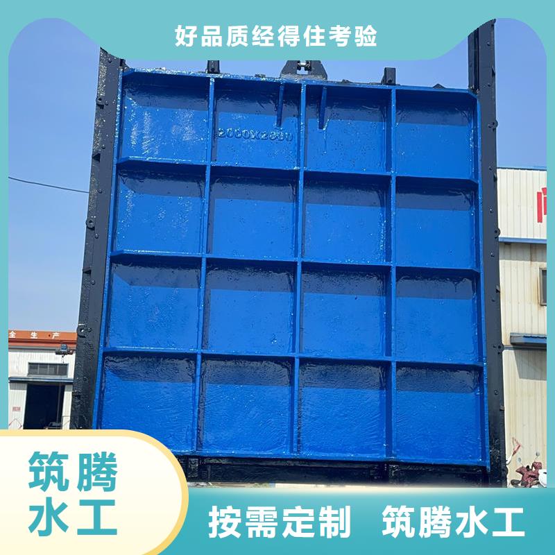 机门一体闸门敢与同行比服务