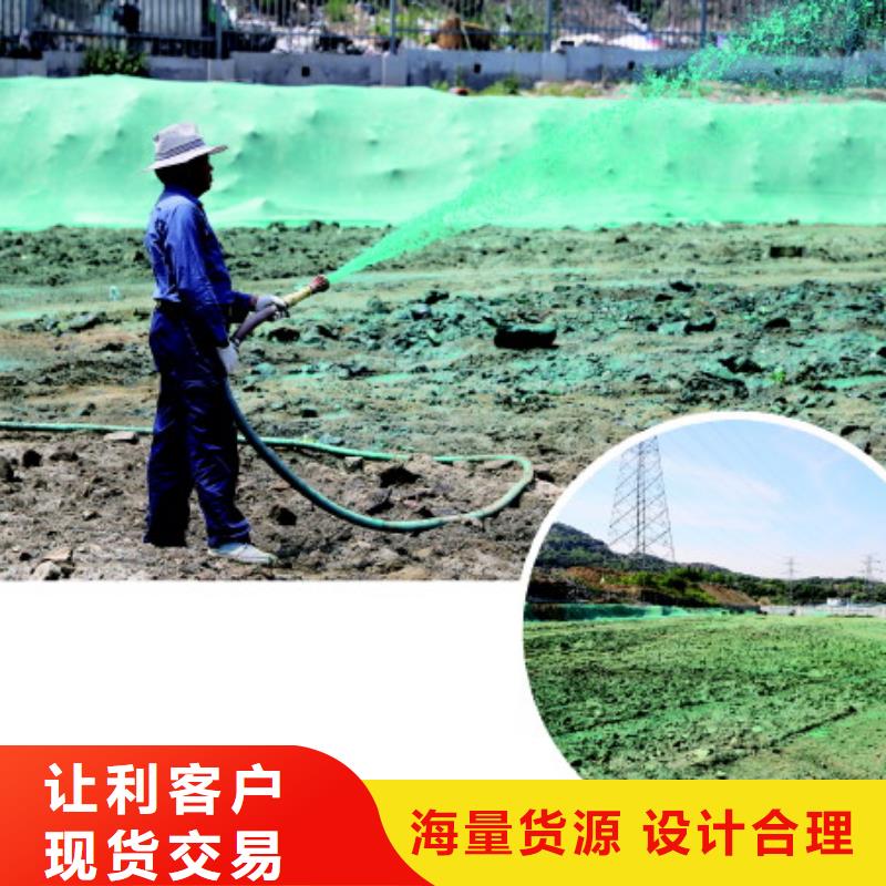 结壳抑尘剂绿色浆今日