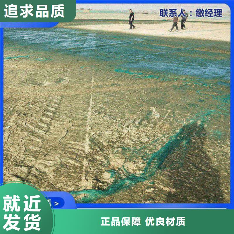 道路生物型降尘剂厂家